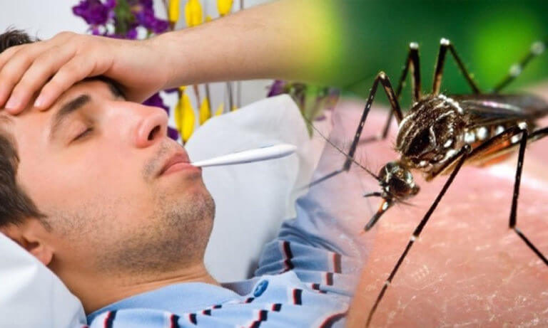 डेंगू बुखार: डेंगू (Dengue) में क्या खाना चाहिए और क्या नहीं ?