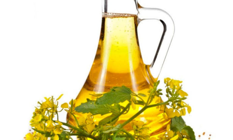 सरसों के तेल (Mustard Oil) के ये फायदे जानकर हैरान रह जाएंगें आप