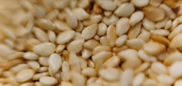 तिल से बढ़ेगा शरीर का तापमान हर दिन (Sesame seeds helps in keeping body warm)