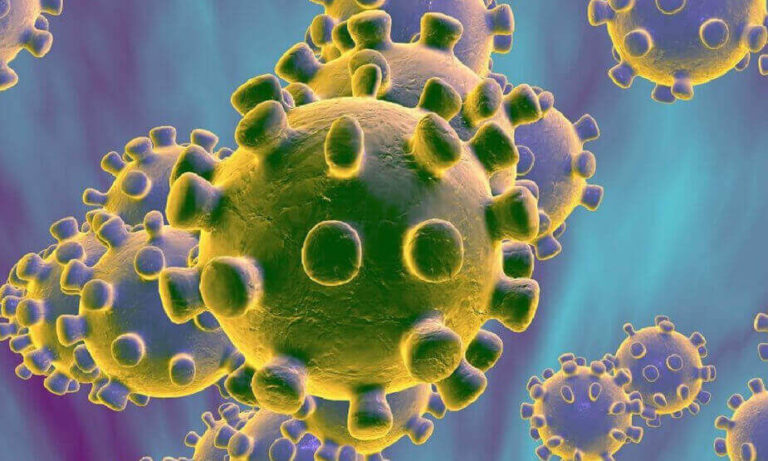 कोरोना वायरस से बचा सकते हैं ये 10 तरीके